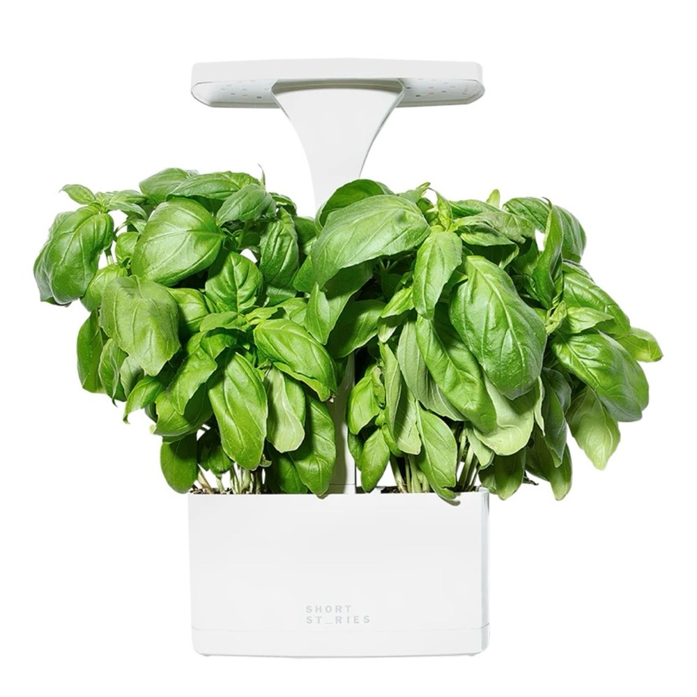 Short Stories LED Indoor Planter NEW